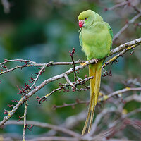 7D2_3028.jpg
