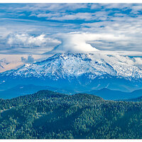 HoodFromLarch4-c.jpg