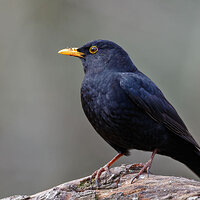 7D2_9122.jpg