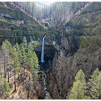 DJI_M3P_24_Elowah030824.jpg