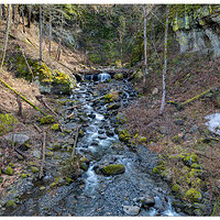 C5D4_McCordCreek030824.jpg