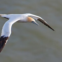 7D2_3980.jpg