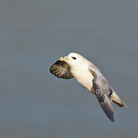 7D2_3903.jpg