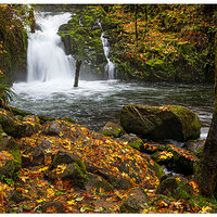 C5D4_SweetCreekFalls110823.jpg