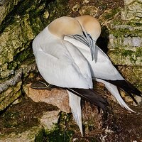 7D2_3737.jpg