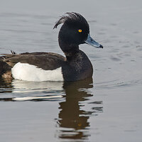 7D2_4429.jpg