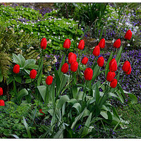 C5D4_ColorfulChaos041124.jpg