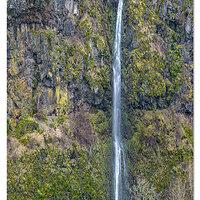 DJI_M3P_166VP_DaltonFalls020124.jpg