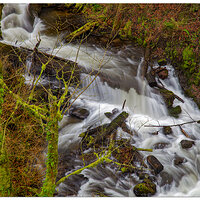 C5D2_LatourellCreek020313.jpg
