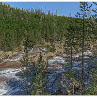 C5D4_GibbonRiver091918.jpg