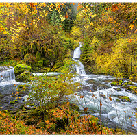 C5D4_ElkWallowCreek110823.jpg