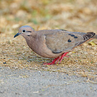 7D2_6038.jpg