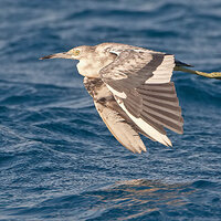 7D2_6131a.jpg