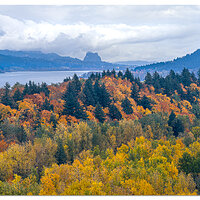 DJI_M3P_24P_CRGPano111023.jpg