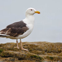 7D2_8211.jpg