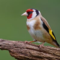 7D2_8791.jpg