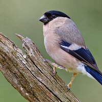 7D2_9506.jpg