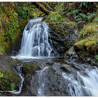 CR5m2_UpperShepperdsDellFalls082624.jpg