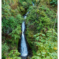 CR5m2_ShepperdsDellFalls082624.jpg