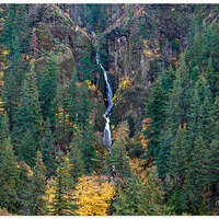 DJI_M3P_70_WahkeenaFalls111023.jpg