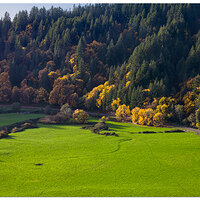 DJI_MP3_24_NForkRd110723.jpg