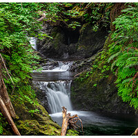 C5Dm2WillabyFalls081409.jpg