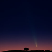 _OZA2726CometA3FB.jpg