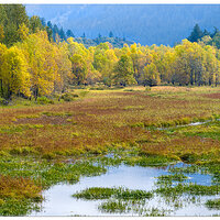 DJI_MP3_166_YoungCreekWetlands102024.jpg