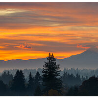 DJI_M3P_166P_Sunrise2102024.jpg