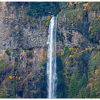 DJI_MP3_166_TopMultnomah111023.jpg