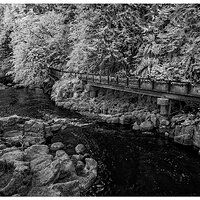 C5D2_IR720_CreekFlume060421.jpg