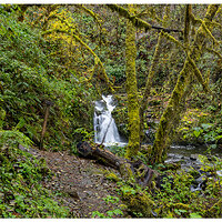 CR5m2_SweetCreekFalls103124.jpg