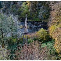 DJI_MP3_24_FBLadder1_102924.jpg