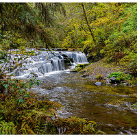CR5m2_SCManyFalls103124.jpg