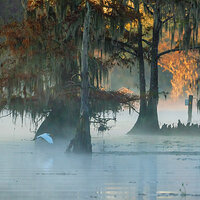 _BRC4548CaddoSunrise169CropFB.jpg