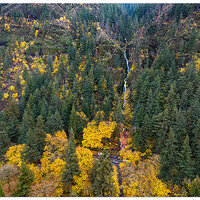 DJI_M3P_24_FullWahkeena111023.jpg