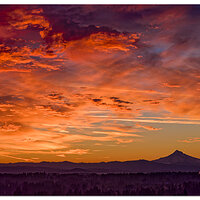 DJI_M3P_70_HoodSunrise102524.jpg
