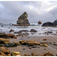 C6D_HBSPLostBeach012716.jpg