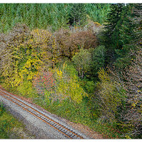 DJI_M3P_24P_SmithCreek102924.jpg