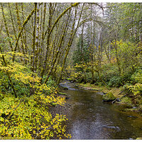 CR5m2_NForkRiver103024.jpg