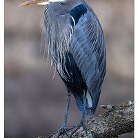 CR5m2_SC-GBH121924.jpg
