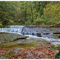 CR5m2_SC-TheLedges103124.jpg