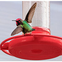 CR5m2_BYHummer123124.jpg
