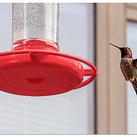 CR5m2_BYHummer2123124.jpg