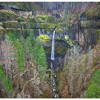 DJI_MP3_24_ElowahFull012623.jpg