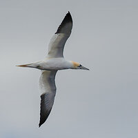 DSC_0765-Edit.jpg