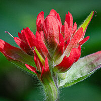 _DSC5043-Edit.jpg