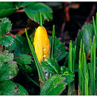 CR5m2_Awakening020125.jpg