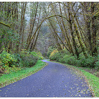 CR5m2_NorthForkRoad103024.jpg