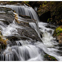 CR5m2_SC-ManyFalls103124.jpg
